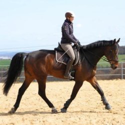 Balance t�jle, Linda Tellington-Jones