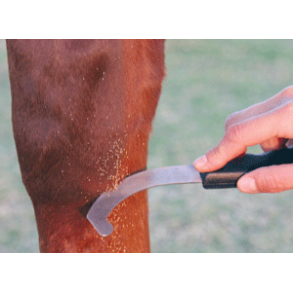 Bot Egg Knife til flueg