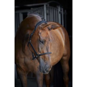 CATAGO rundsyet ldergrime