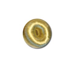 Donut til rytterens hr