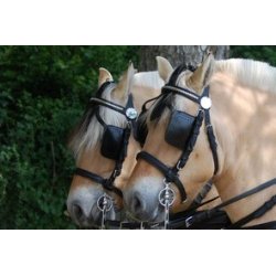 K�rehovedlag KLINDT Dressur