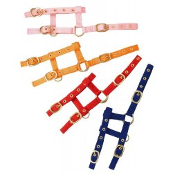 Flgrime, shetland og kphest