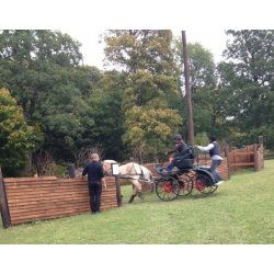 Kreundervisning med egen hest.