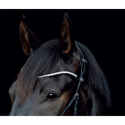 Pandebnd til Gentle Bridle