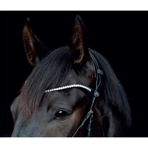 Pandebnd til Gentle Bridle