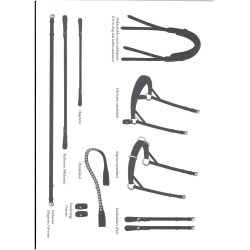 Pandebnd til Gentle Bridle