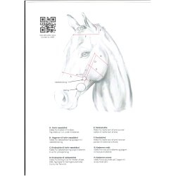 Nakkestykke til Gentle Bridle