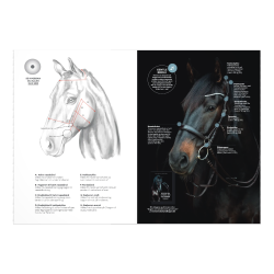 CATAGO Gentle Bridle opm�ling til trense