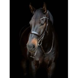 Halvt nsebnd til Gentle Bridle