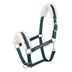 Waldhausen grime Elegant