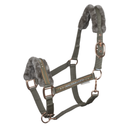 Waldhausen grime Elegant