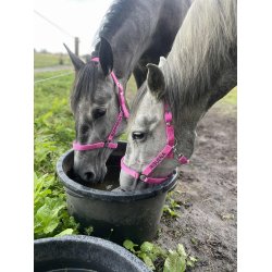 Grime med hestens navn