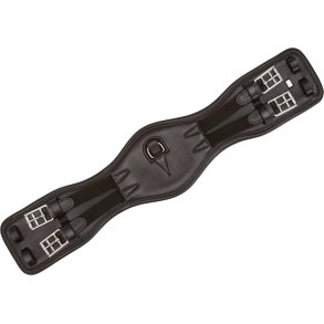 HG Morris Dressurgjord i lder