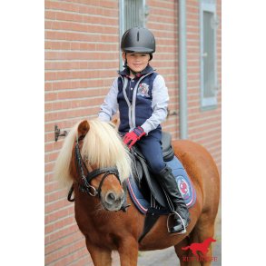 Sweatshirt, Red Horse