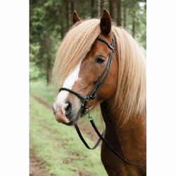  Islndertrense CATACO m. flet