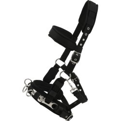 Kapsun, Horse Guard i nylon