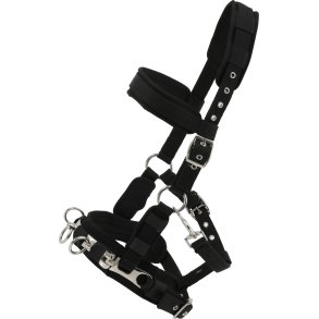 Kapsun, Horse Guard i nylon