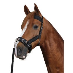 Kapsun, Horse Guard i nylon