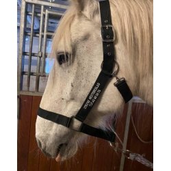 Koldblodsgrime i nylon, navn kan tilkbes