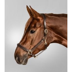 Ldergrime, Waldhausen S-Line