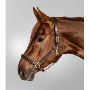 Ldergrime, Waldhausen S-Line