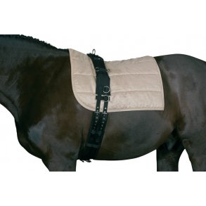 Longeringsgjord, nylon m. ngler