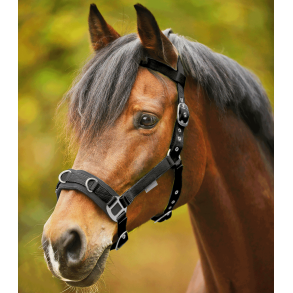 Longeringsgrime/kapsun