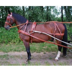 KLINDT Maraton saletsele