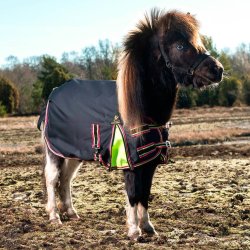 Overgangsdkken til miniature og fl