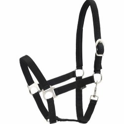 Grime med hestens navn