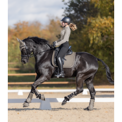 Pegasus dressurgamacher