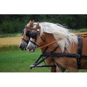 KLINDT Prsentation tospandsseler