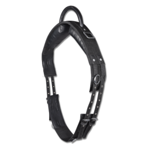 Ride/longerings gjord