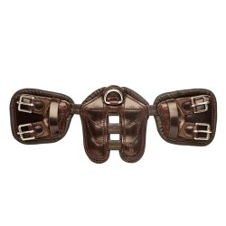 Scharf Freedom gjord, dressur