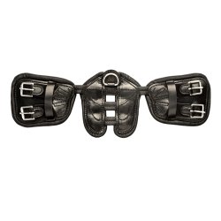 Scharf Freedom gjord, dressur