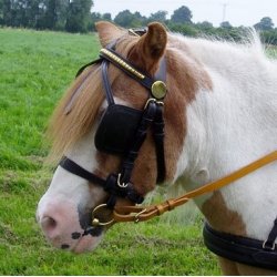 Krehovedlag KLINDT Start