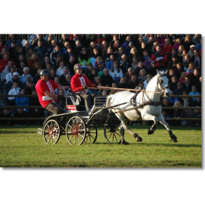 Tidaholm maratonvogn nr. 207 X-treme enspnder