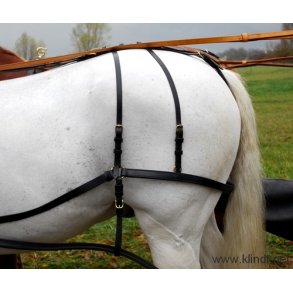 Hintertj til n- og to-spand