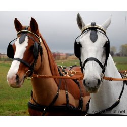 Krehovedlag KLINDT Start