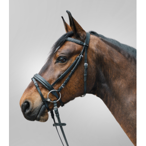 Trense, Star Diamond