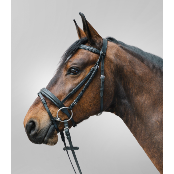 Trense, Star Diamond