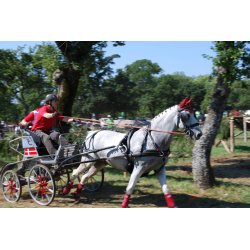 KLINDT Maraton saletsele