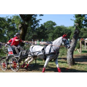 KLINDT Maraton saletsele