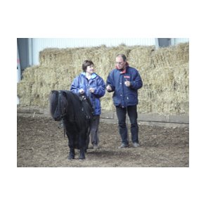 Kreskole med egne eller vores heste