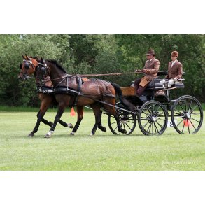 Klindt Hestevognskørsel