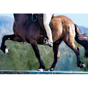 Ponypuder, Islands- og lammeskindssadler