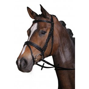 Trenser, tøjler, næsebånd og hoods