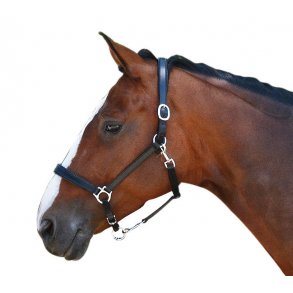 Grimer, tov, mundkurve mm.